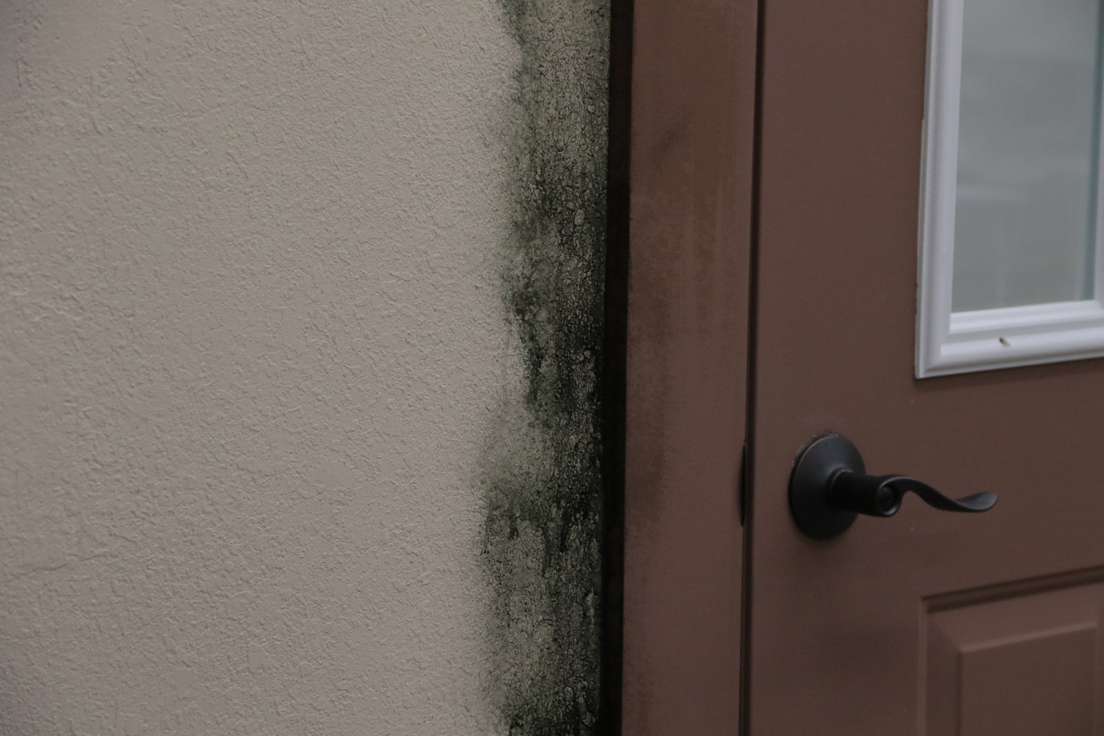 Clean Exterior Doors with Ease